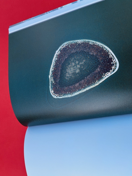 Labor Lab: Sarah Ancelle Schönfeld in conversation with Esther Leslie