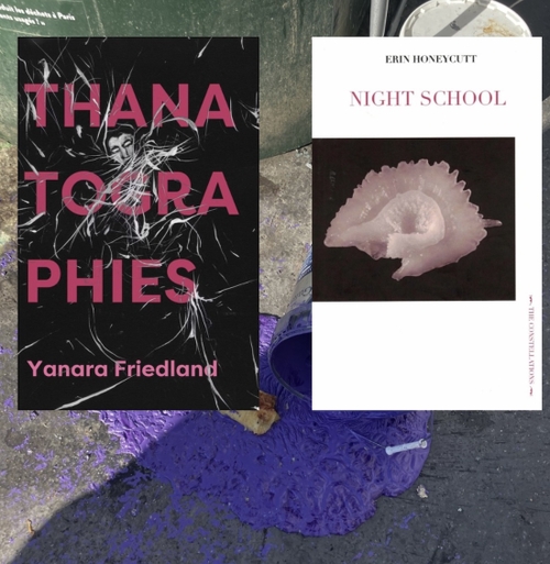 Thanatographies by Yanara Friedland // Night School by Erin Honeycutt